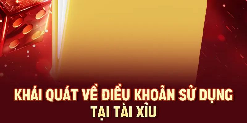 Tầm quan trọng của Điều khoản sử dụng trong lĩnh vực cá cược